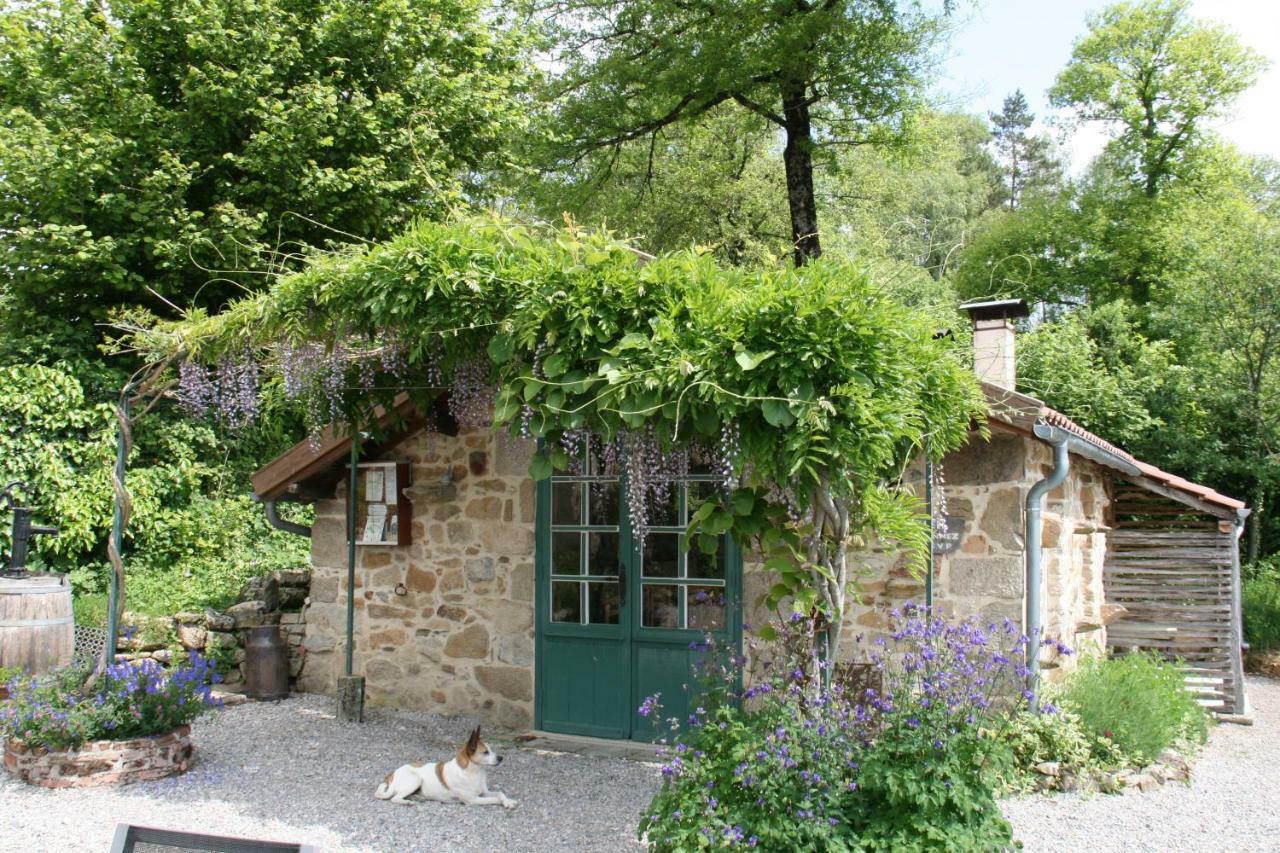 Bed and Breakfast Domaine Les Teuilleres Lacam-d'Ourcet Экстерьер фото