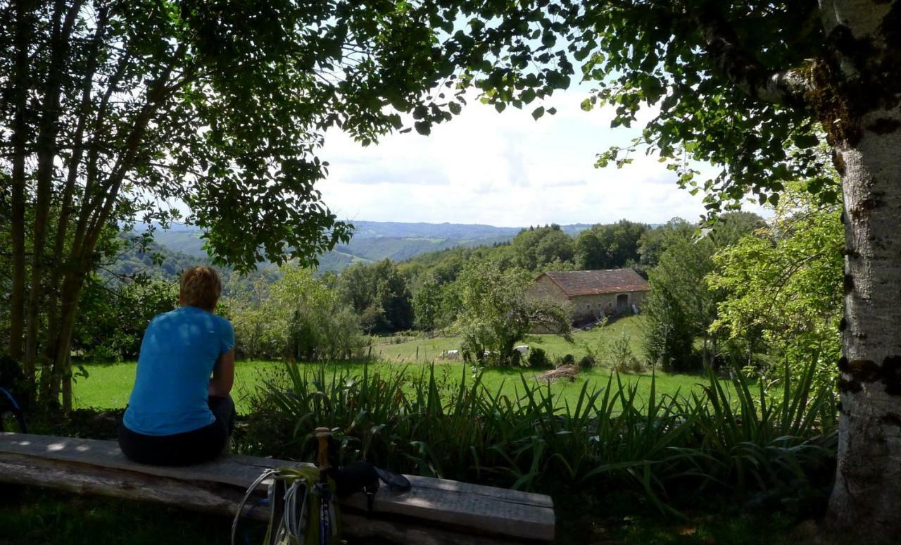 Bed and Breakfast Domaine Les Teuilleres Lacam-d'Ourcet Экстерьер фото
